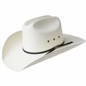 Bailey Hats Western & Cowboy Hats | Eddy Bros® Cutter Ivory