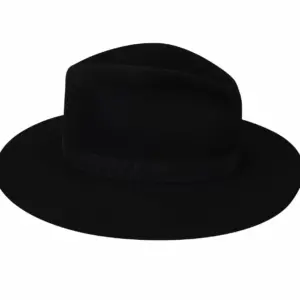 Bailey Hats Wide Brim | Girvin