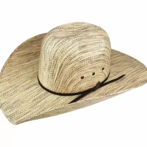 Bailey Hats Western & Cowboy Hats | Glencoe 4X Natural Multi