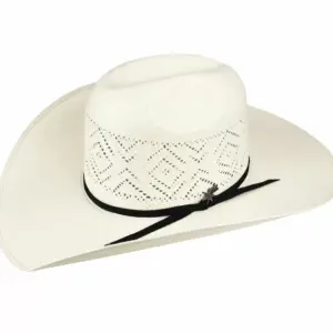 Bailey Hats Western & Cowboy Hats | Hedley 20X Natural