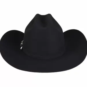 Bailey Hats Western & Cowboy Hats | Pageant Ii 2X