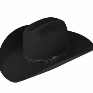 Bailey Hats Western & Cowboy Hats | Roderick 3X