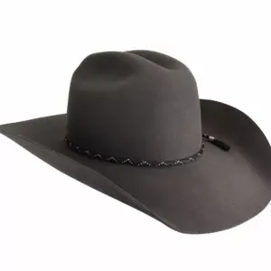 Bailey Hats Western & Cowboy Hats | Zippo 2X